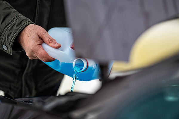 Fluid Flushes & Seasonal Maintenance